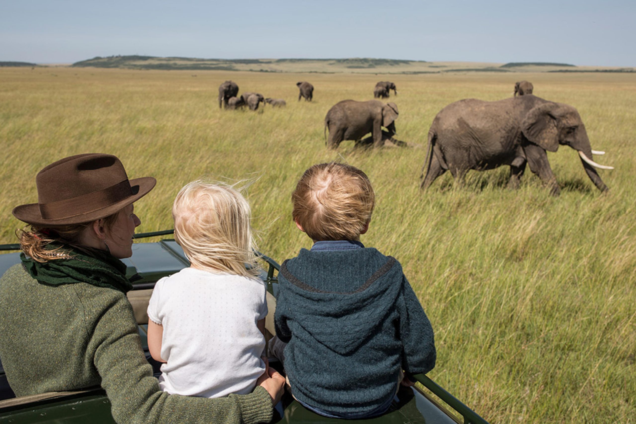 Family Safari Experience