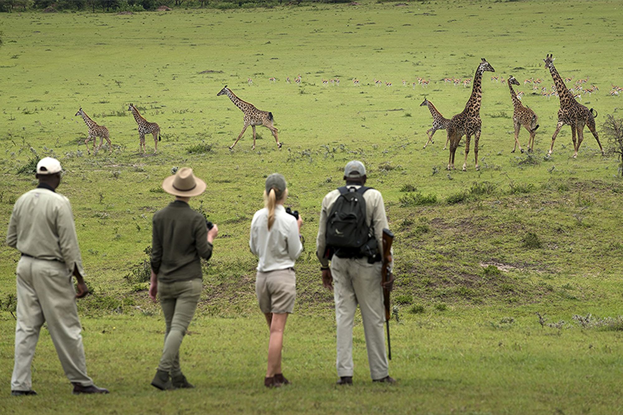 walking-safaris